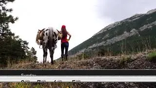 Cowboy Channel's 
