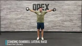 Dumbbell Lateral Raise