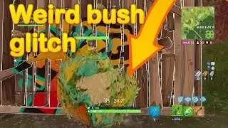 Fortnite - Spray and legendary Bush glitch!