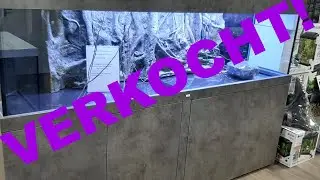JA! We gaan het doen! We hebben een mega groot aquarium op maat gekocht! Het aftellen is begonnen.