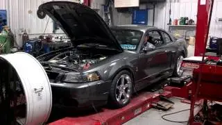 03 Terminator Mustang 659 WHP Robi's Repair