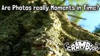 Are Photos really Moments in Time?