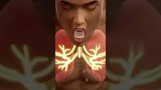 Cough Explosion Inside Your Body | 12s Science Short #shorts  #healthanimation #anatomy #animation