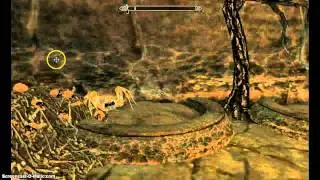 Skyrim mods daily 1