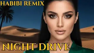Arabic DJ Party Mix 🎧 Habibi Hits for Club & Car Audio