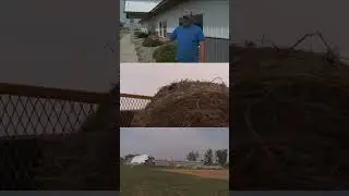 Building houses with hemp plant | Sahan Journal