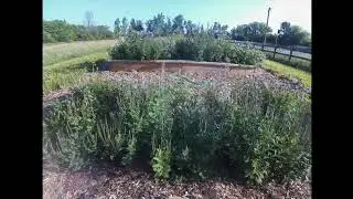 Seed Orchard Time Lapse Video