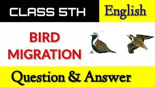Bird Migration Question and Answer 5TH Standard l Unit - 4 l English Notes 1st Language