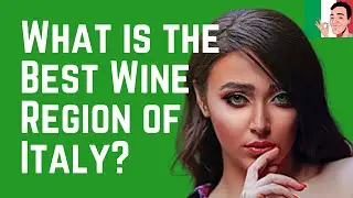 The 20 Wine Regions of Italy in Under 20 Minutes &ndash; Salute!