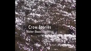 Crow Stories: Water Beast Sighting