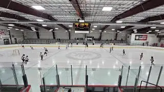 Reapers vs Windsor Spitfires 10U hockey - live!