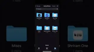 Guide on how to install and use Chrome extensions on the iOS version of Mises Browser