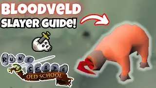 How To Slay Bloodvelds FAST in OSRS! 