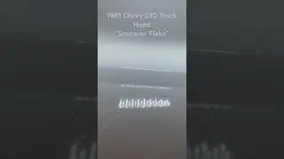 1981 Chevy C10 Truck Hood with White w/&ldquo;Snocaine Flake&rdquo;