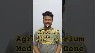 Agrobacterium Gene Transfer Explained 🔥| Ti Plasmid & T-DNA Mechanism |  GATE BT & CSIR NET💯