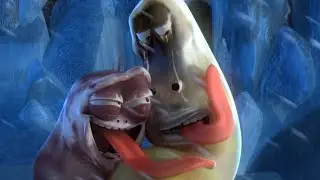 LARVA - HELP! | Cartoon Movie | Cartoons | Comics | Larva Cartoon | LARVA Official