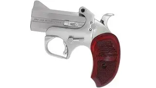 Bond Arms USA Defender: detailed overview