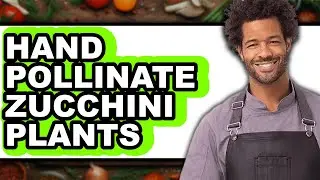 How To Hand Pollinate Zucchini Plants (Easy Method)