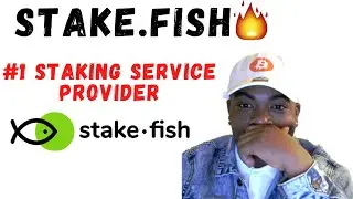 What is Stake.Fish and Why You Should Stake With Them