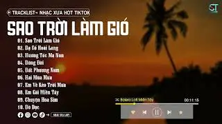 Sao Trời Làm Gió - Phạm Thiêng Ngân ( Lofi Ver ) Trăng ánh trăng khuya dần thức trắng canh thâu mai