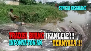 Mancing ikan Lele Buangan Sungai Cisadane
