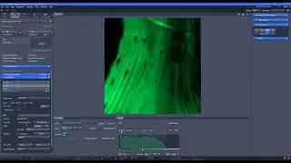 Zeiss ZEN Tutorial - Create New Channel Settings