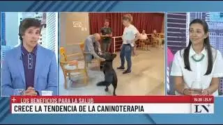 🦮Nota de  intervenciones asistidas con animales (IAA)ley 5760.   