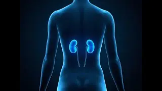 Kidney Healing Meditation Inner Smile Style