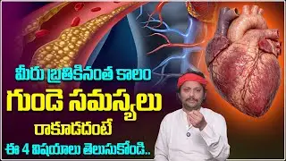 గుండె సమస్యలు రాకూడదంటే ఈ 4 విషయాలు తెలుసుకోండి || Heart Attack Reasons and Solution @ishtalife_IL