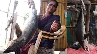 Indias biggest dry fish market| dry sora fish|odavalarevu fish marekt| chirala fish market
