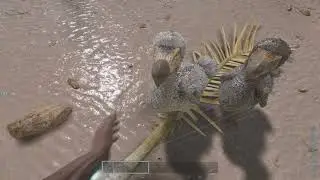 ARK Survival Ascended PS5 Pro gameplay. (4K 60 HDR)
