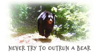 NEVER TRY TO OUTRUN A BEAR