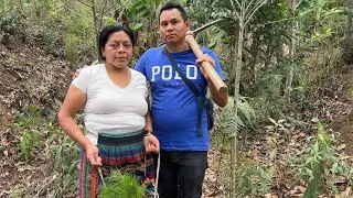 Feliz Domingo Gente Linda
