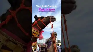 Must Visit Places in Rajasthan Part- 2 🦚🦢✨