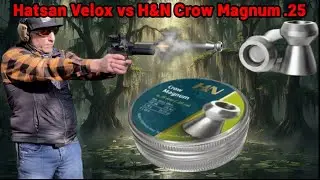 Пистолет H&N Crow Magnum .25 в обвесе Hatsan Velox &ndash; точность на 10 м, скорострельность и беспоща...