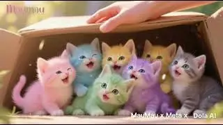 Tiny Rainbow Kittens in My box #FluffyCats #CuteKittens #RainbowCats