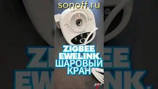 Умный шаровый кран Zigbee eWeLink #zigbee #распаковка   #homeassistant