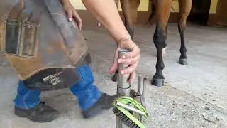 Cascos para caminhar nas pedras @Cascosemdia2026 