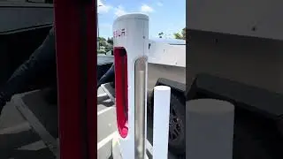 Tesla Rental Experience in San Diego10. #viral #viralvideo #tesla #shorts #shortvideo #short