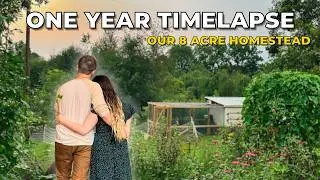 A Year That Grew Us | Homestead Documentary (Year 3 Recap)