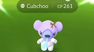 Shiny Costume Cubchoo in Pokemon Go!