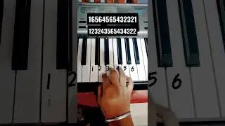 🎹How to play Teri meri prem kahani #bodyguard Easy Piano🤩🎹