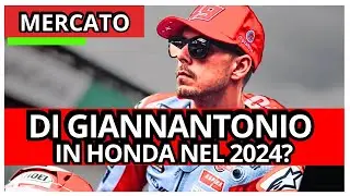 MotoGp - Di Giannantonio Il Futuro Brillante Con Repsol Honda Nel 2024?