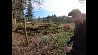 Part 2  Cutting up more oaks on the farm (Ice storm damage)