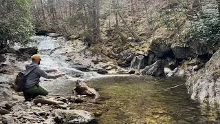 Fly fishing for native Brook Trout near Asheville North Carolina