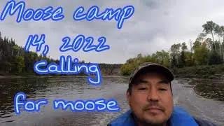 Moose camp 14, 2022 calling for moose