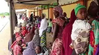 Displaced People in Nigeria Face Cholera Outbreaks