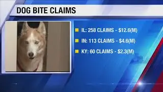 Dog bite claims on the rise in Indiana, Illinois