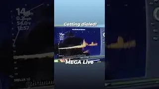 Humminbird MEGA Live настроен идеально