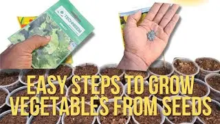 How to Create Vegetable beds for High Harvest | Using Wine bottles for rised beds